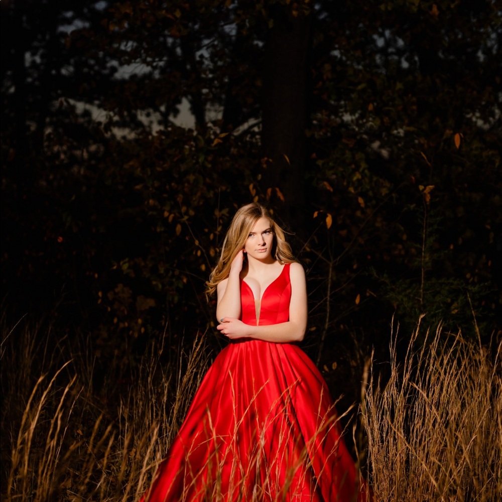 Sherri Hill size 2 prom dress